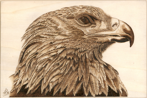 Águila Real (detalle)