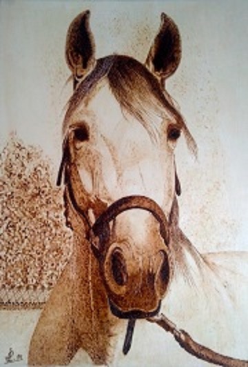 Caballo, detalle