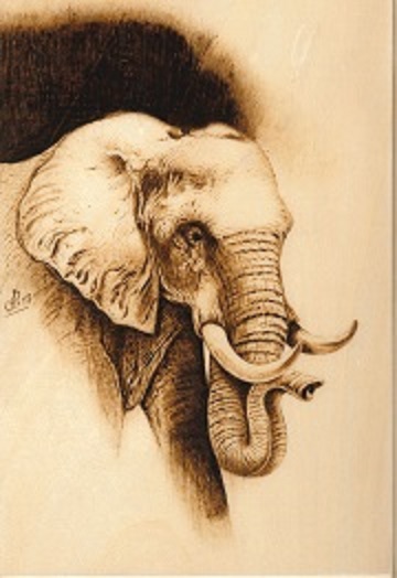 Elefante