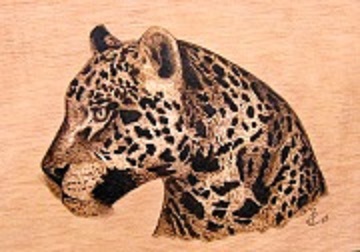 Leopardo