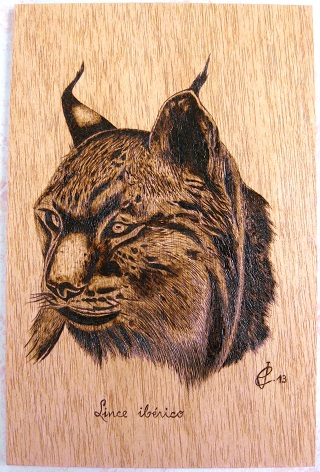 Lince ibérico