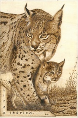 Lince y cría