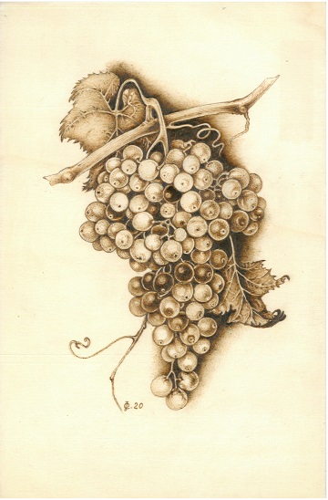 Uvas moscatel