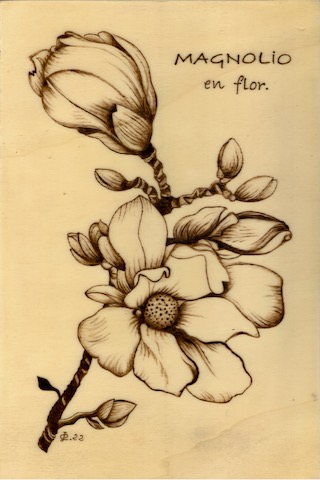 El magnolio en flor